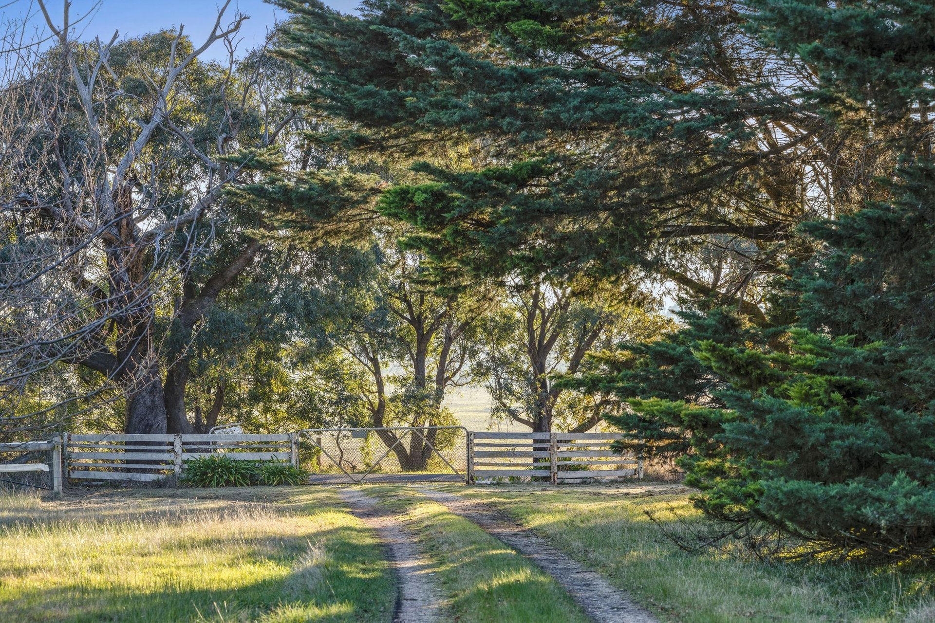 Property Gallery Thumbnail 23
