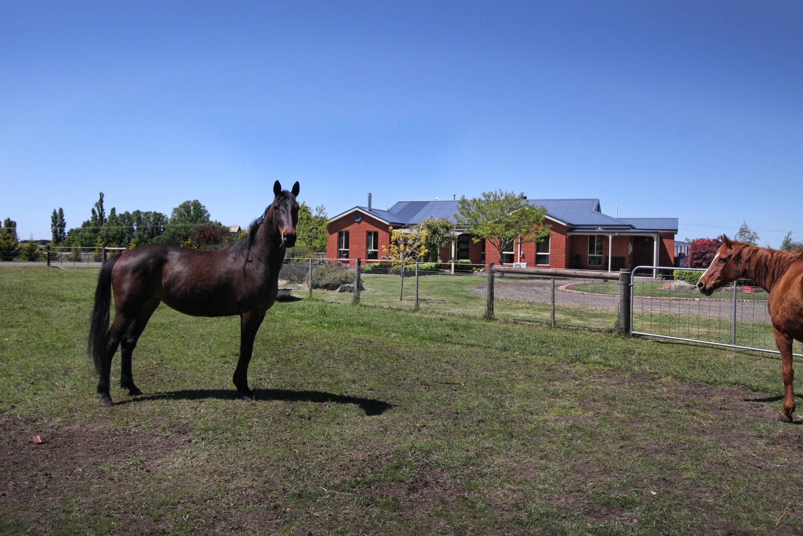Property Gallery Thumbnail 17