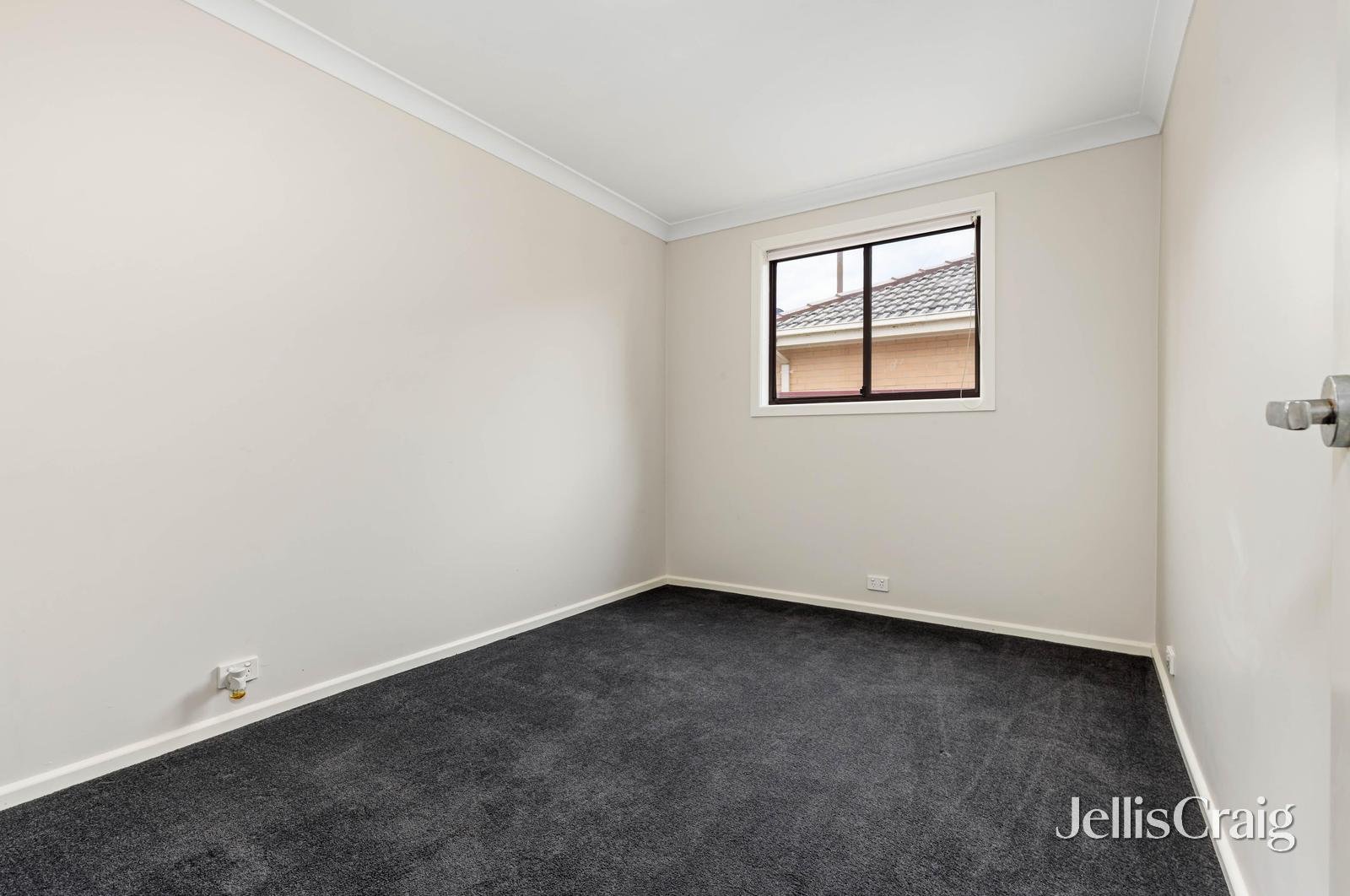 294 Vickers Street, Sebastopol image 8