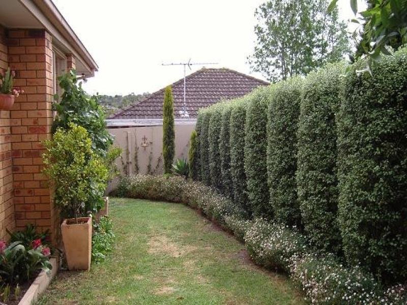 2/960 Station Street, Box Hill North image 3