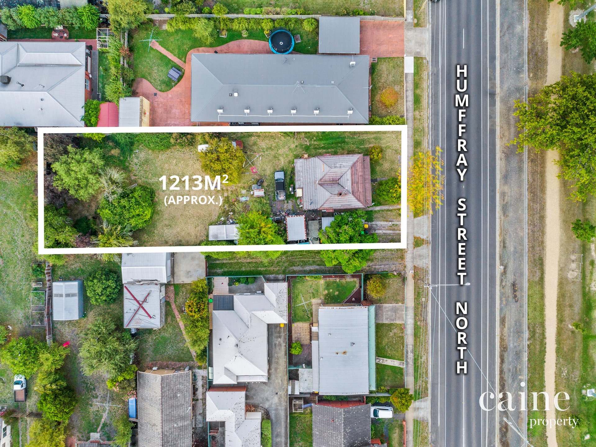 297 Humffray Street, Brown Hill image 1