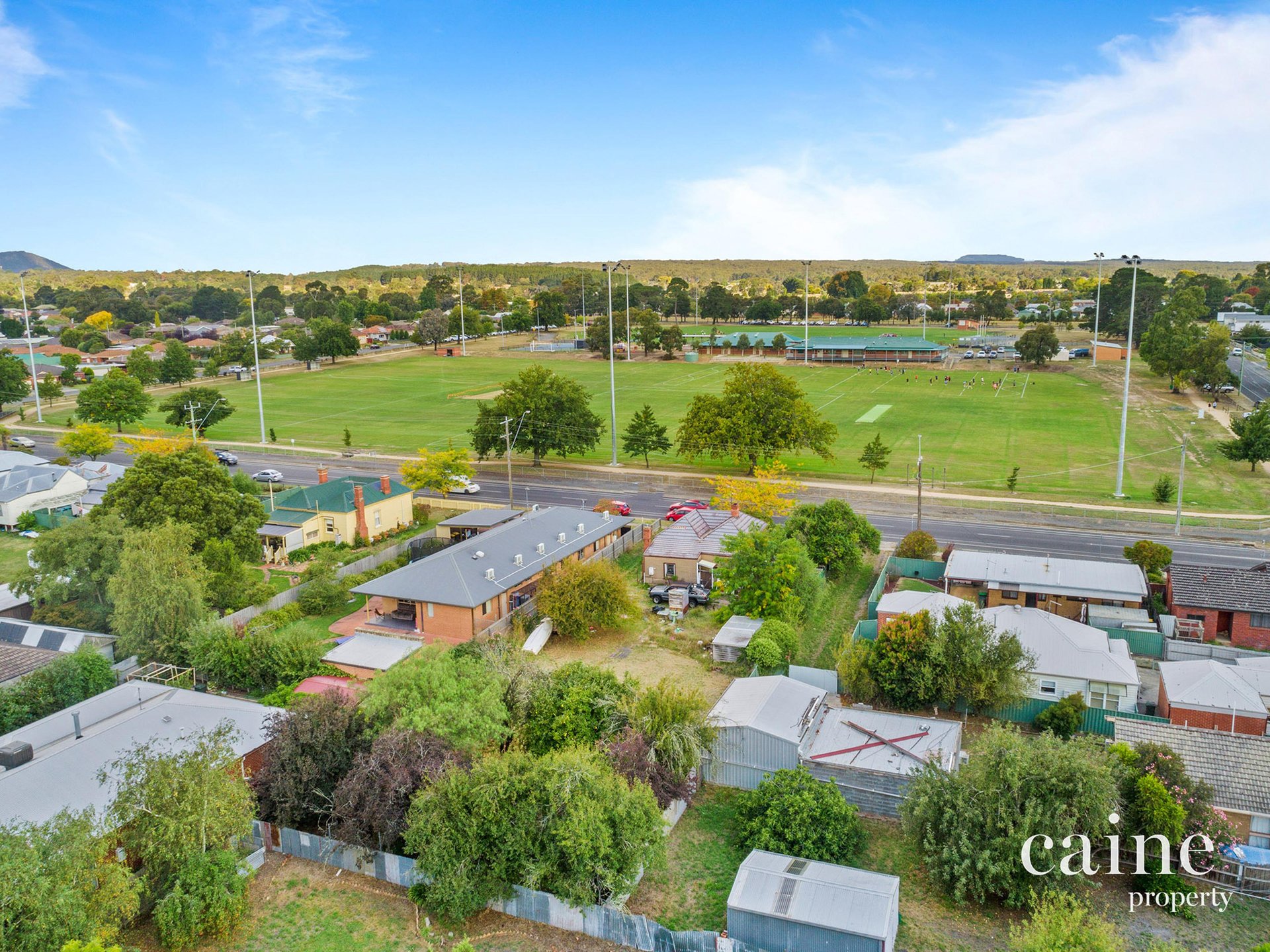 297 Humffray Street, Brown Hill image 5