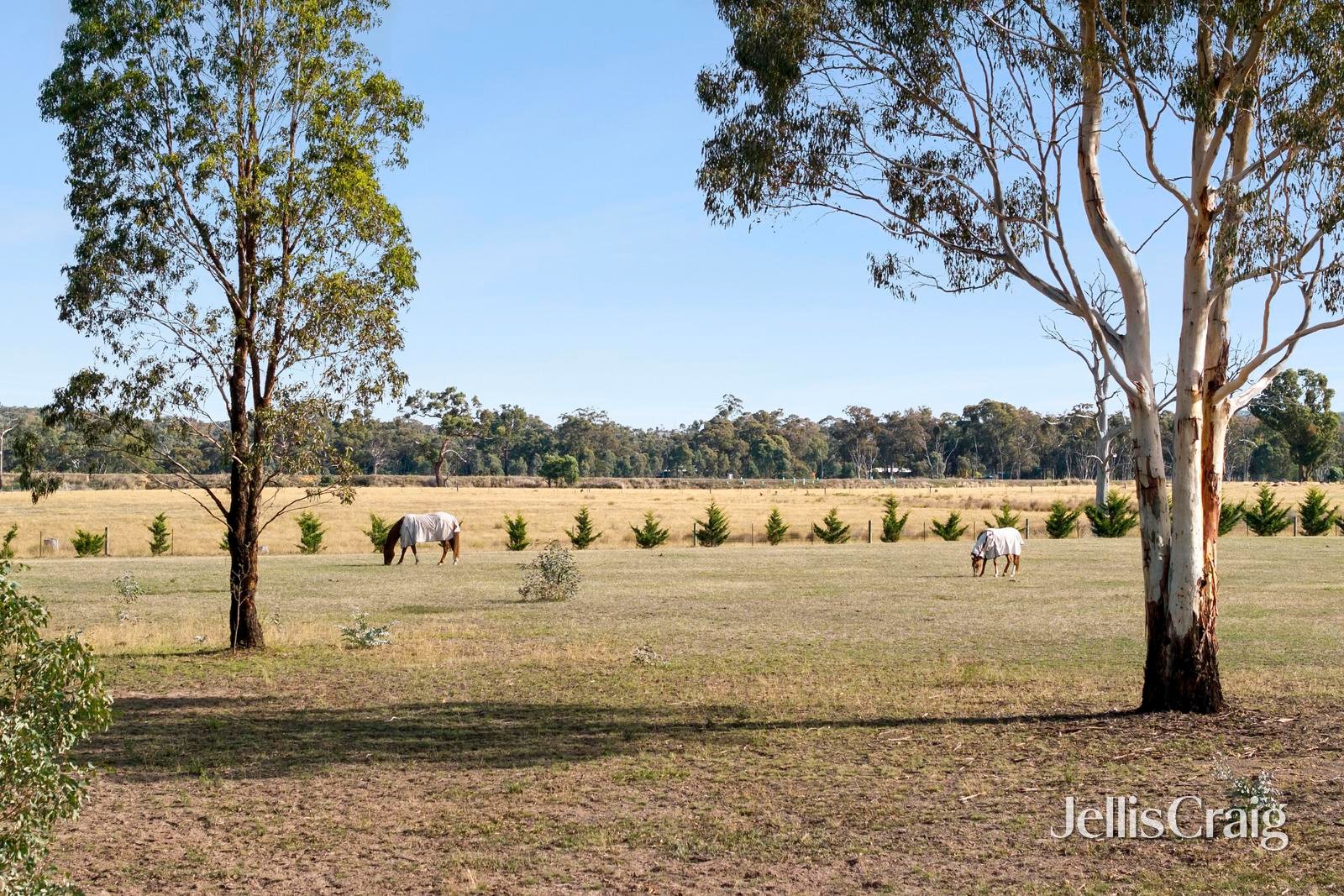 297 Potts Road, Elphinstone image 11