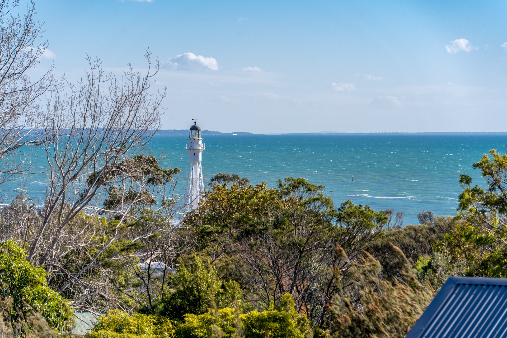 29a Browne Street MCCRAE