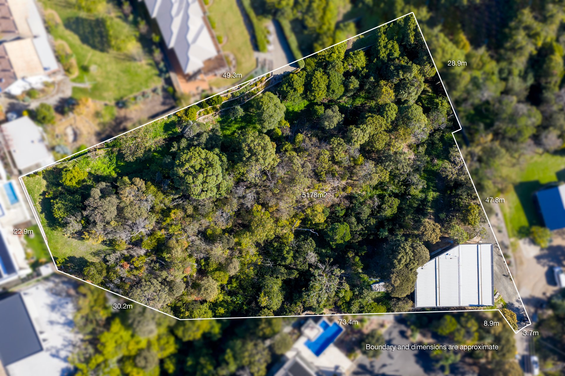 29a Browne Street MCCRAE
