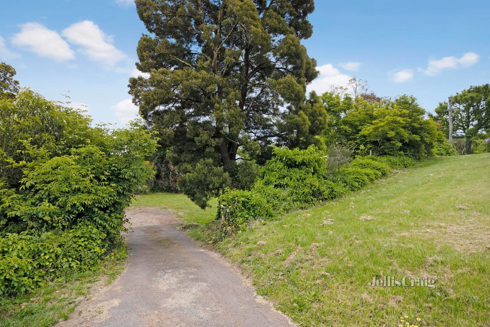 2A 2A Orford Street, Daylesford image 6