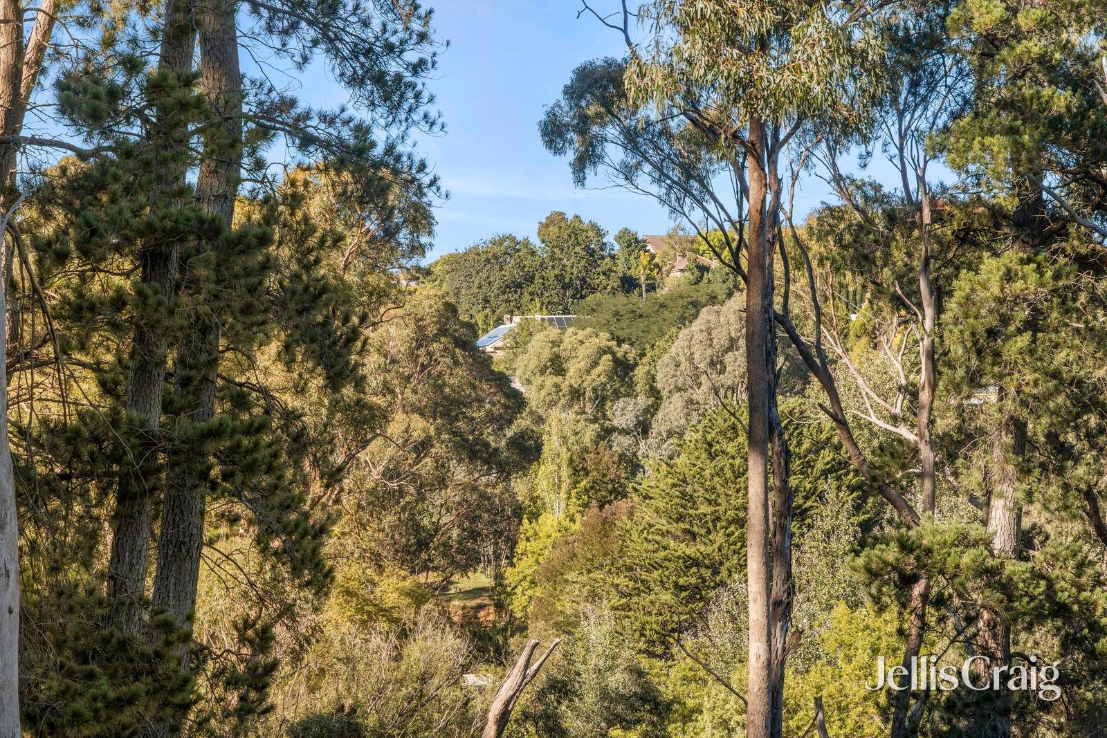 2A Golden Springs Avenue, Hepburn&nbsp;Springs image 5