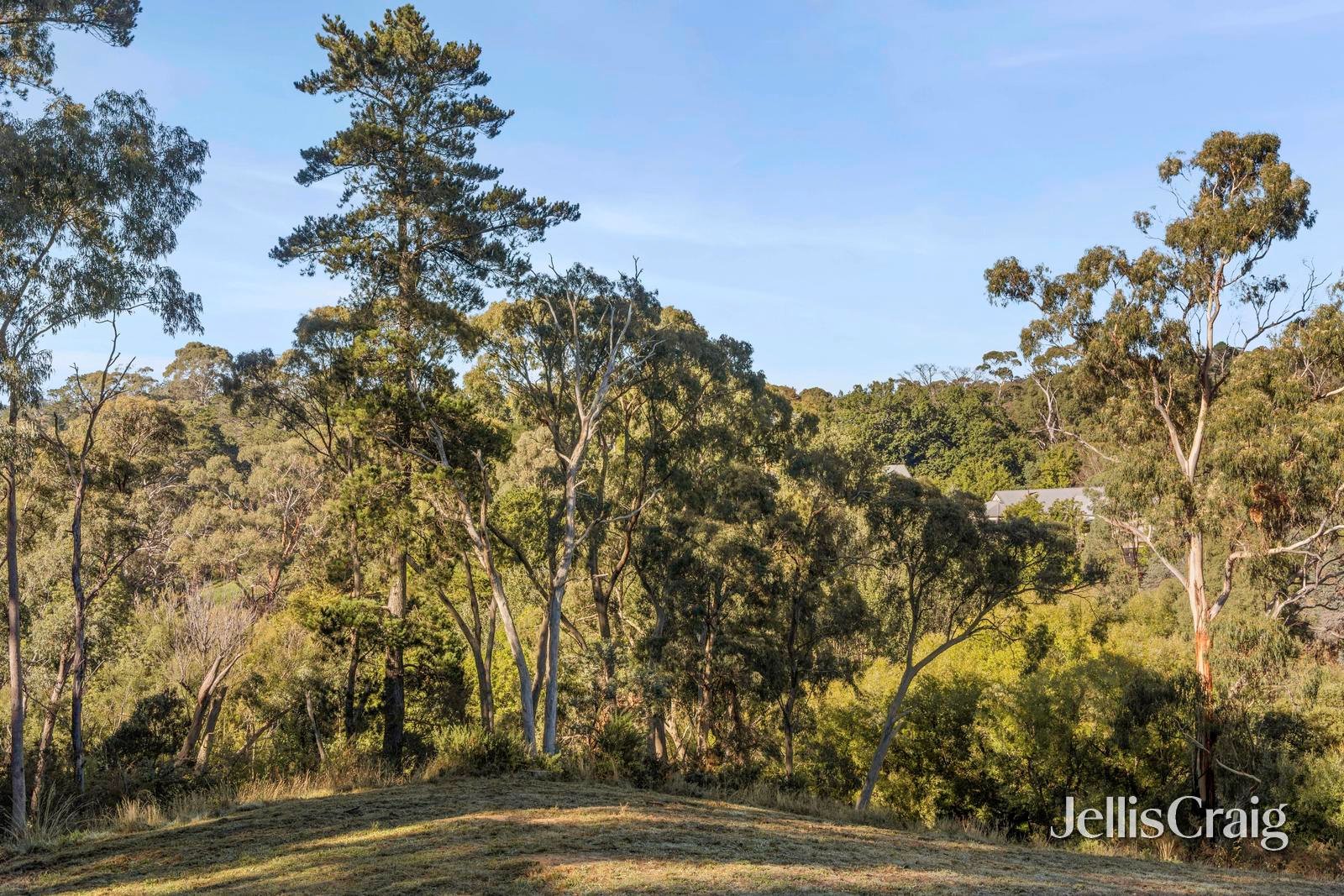 2A Golden Springs Avenue, Hepburn&nbsp;Springs image 6