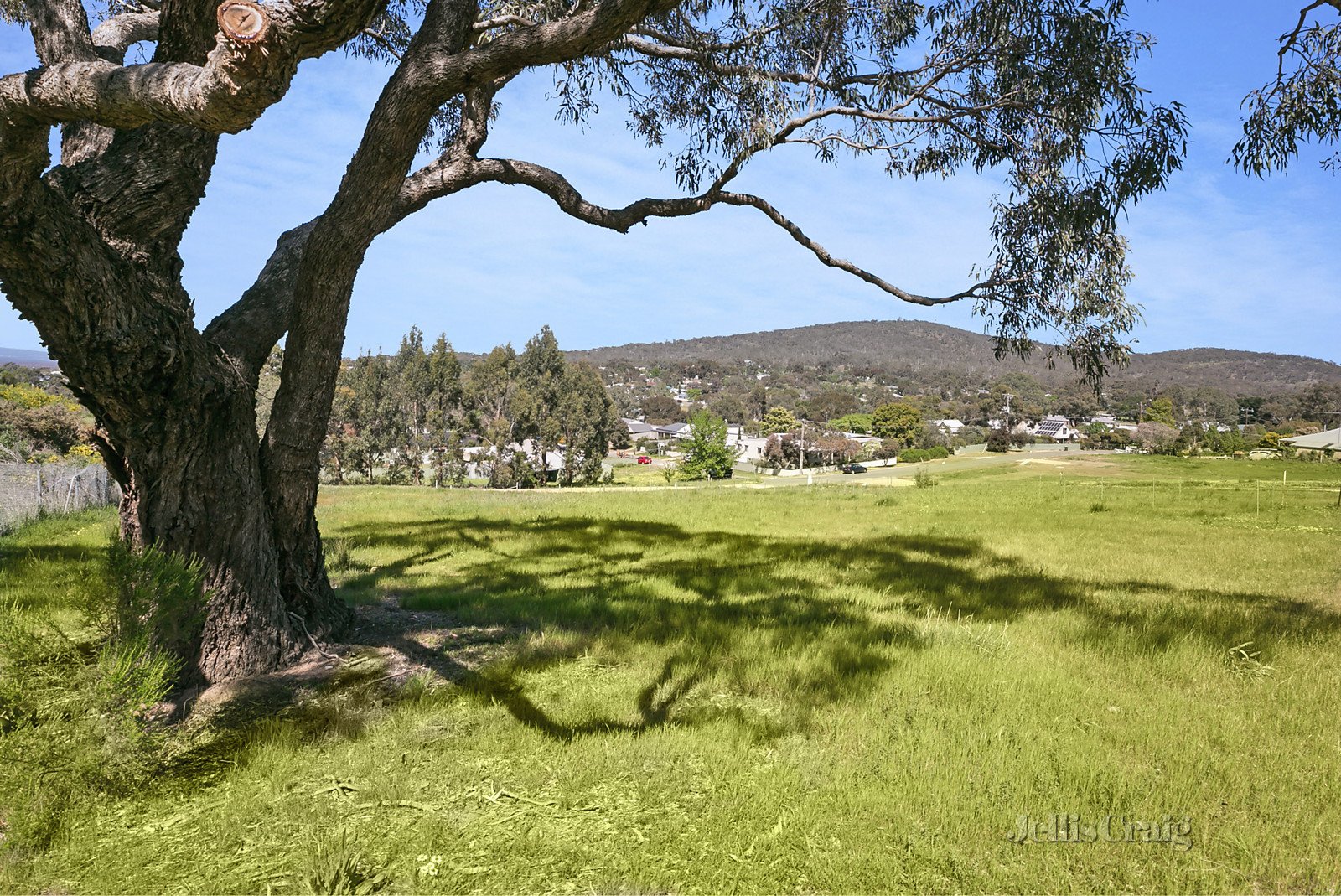 2a Grigg Street, Maldon image 3