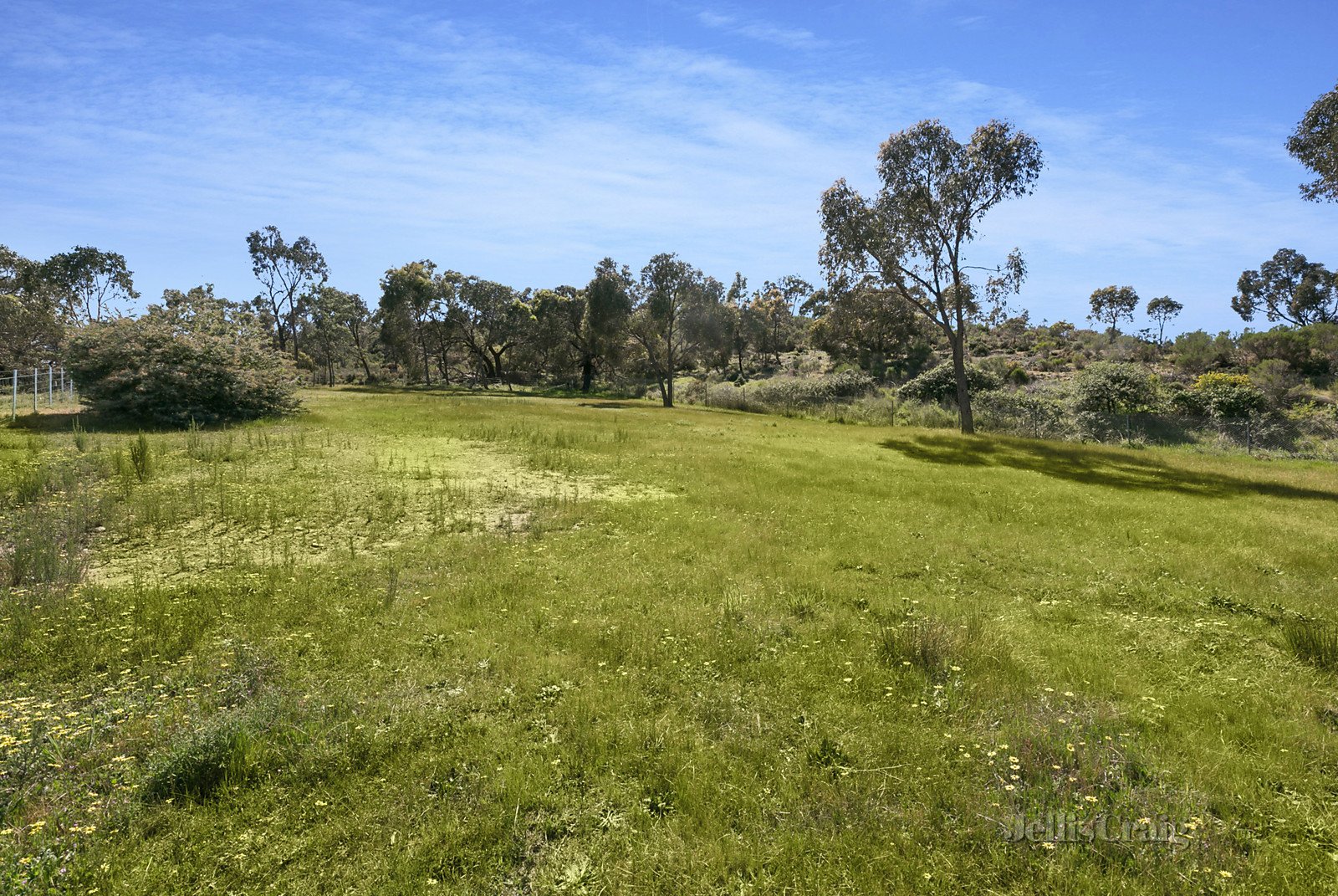 2a Grigg Street, Maldon image 5