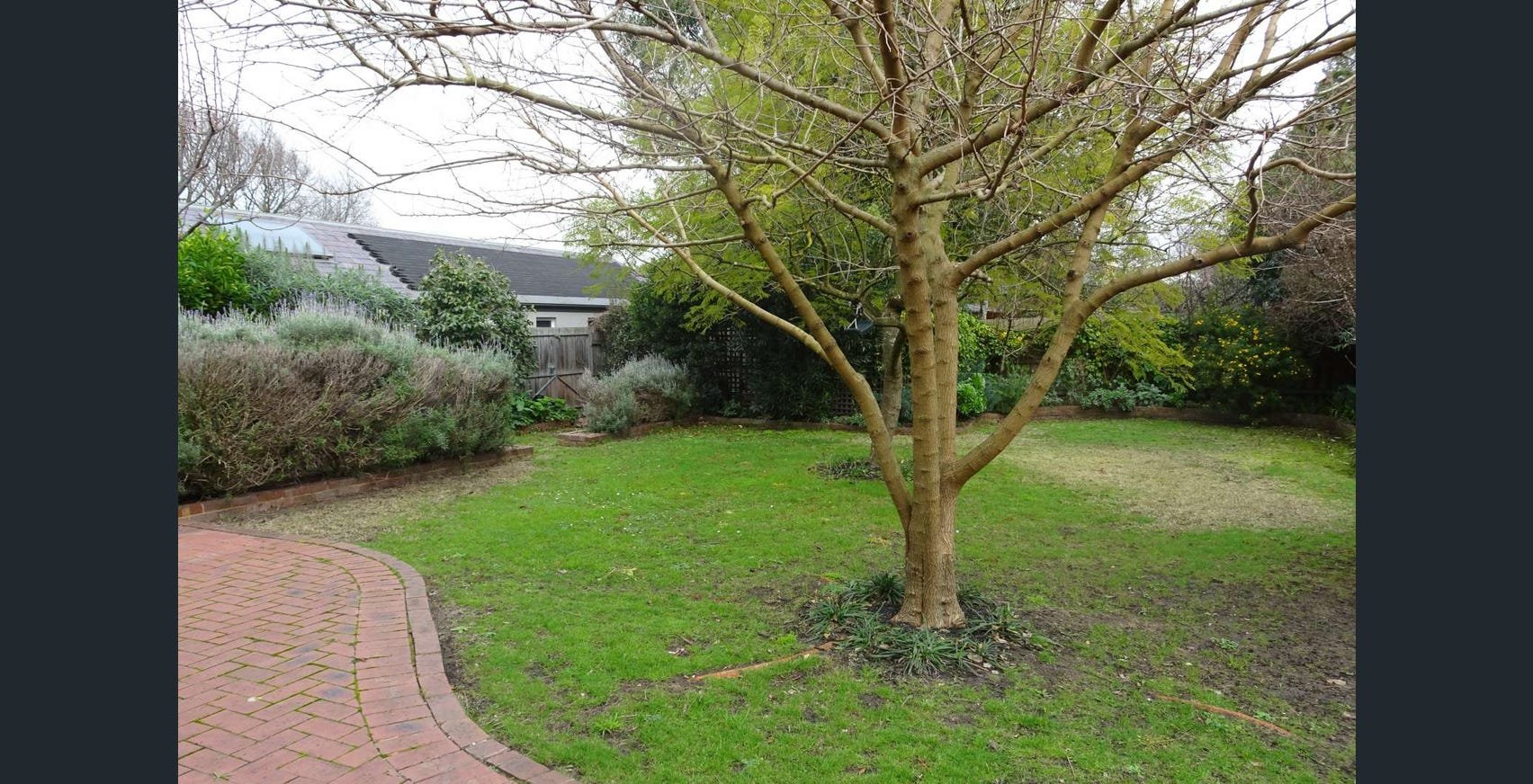 2A Waterloo Street, Camberwell image 11