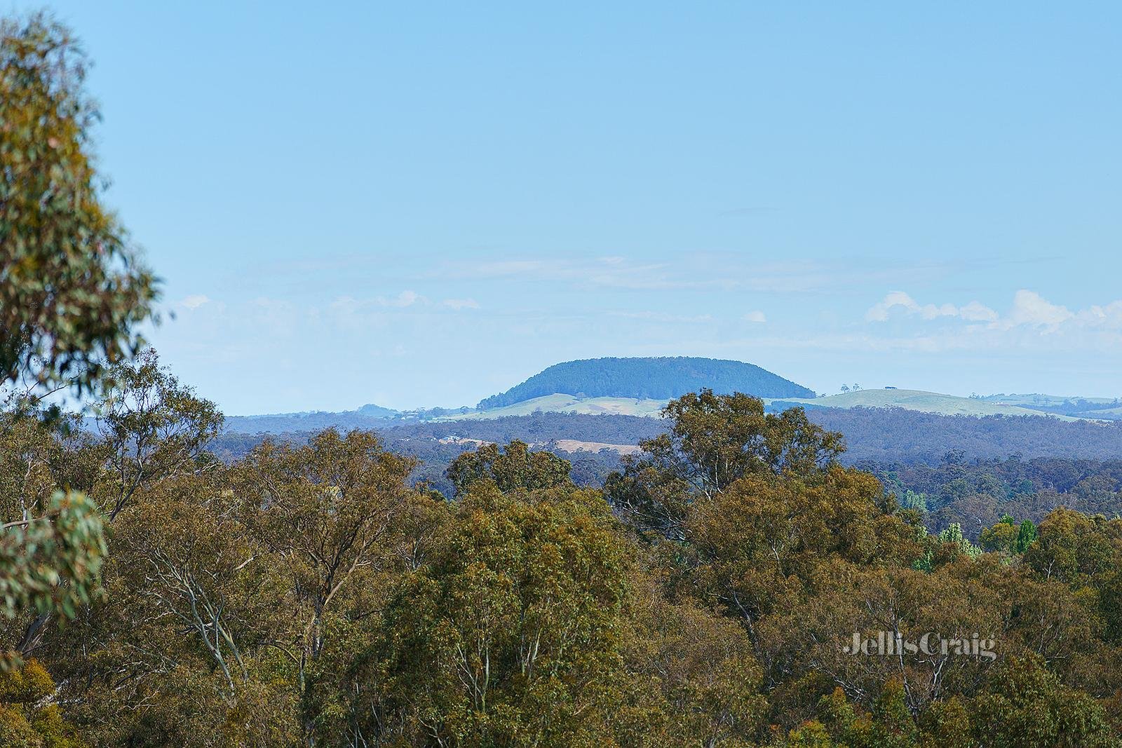 2E Palmerston Street, Newstead image 16