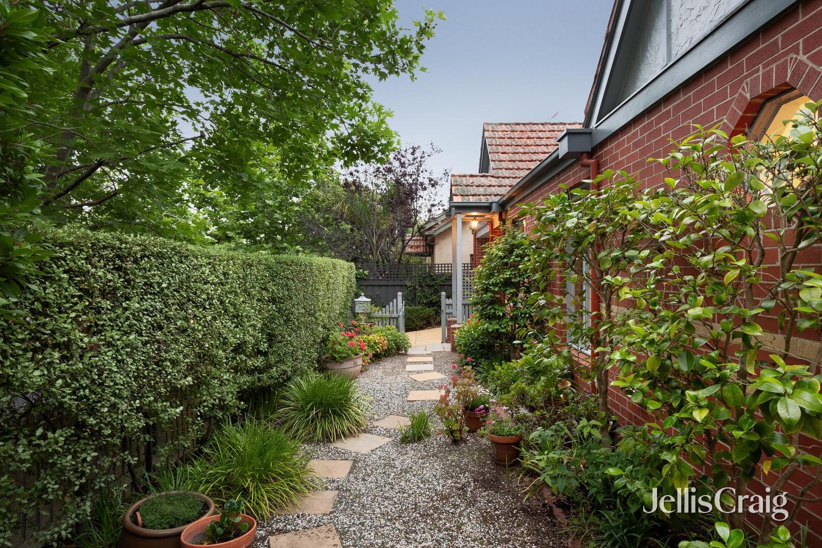 3 Albion Street, Surrey Hills image 2