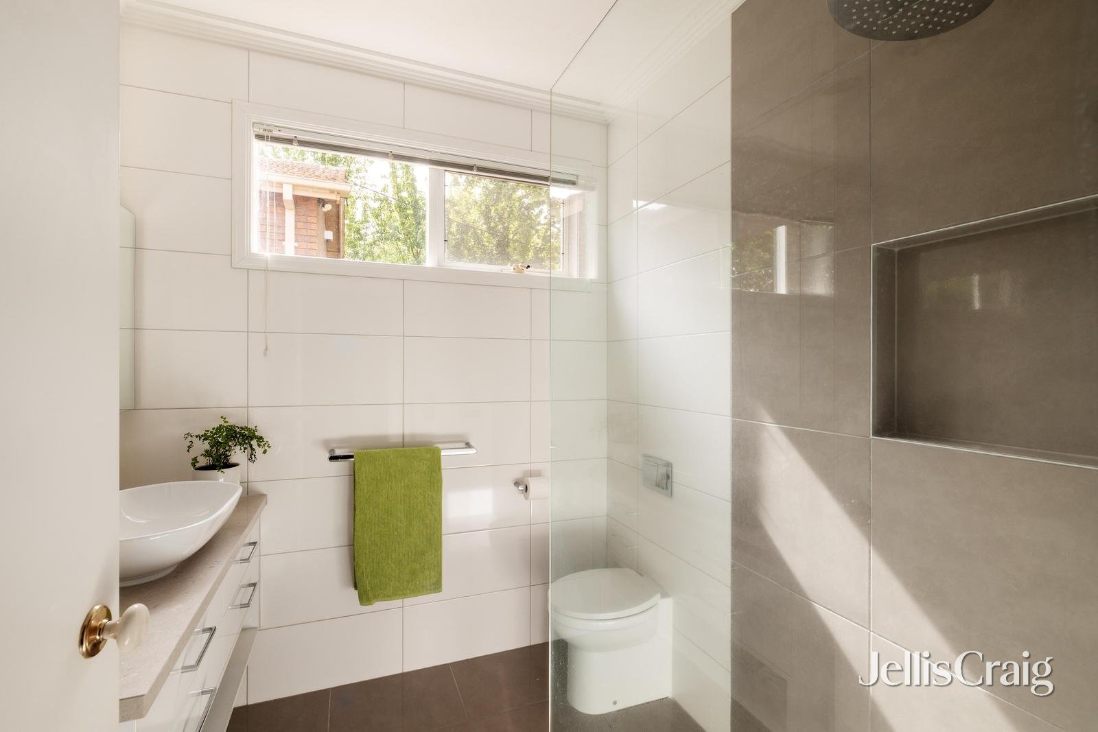 3 Albion Street, Surrey Hills image 7