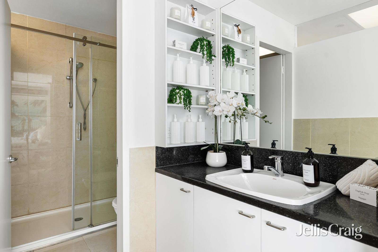 3 Barkly Street, Brighton image 13