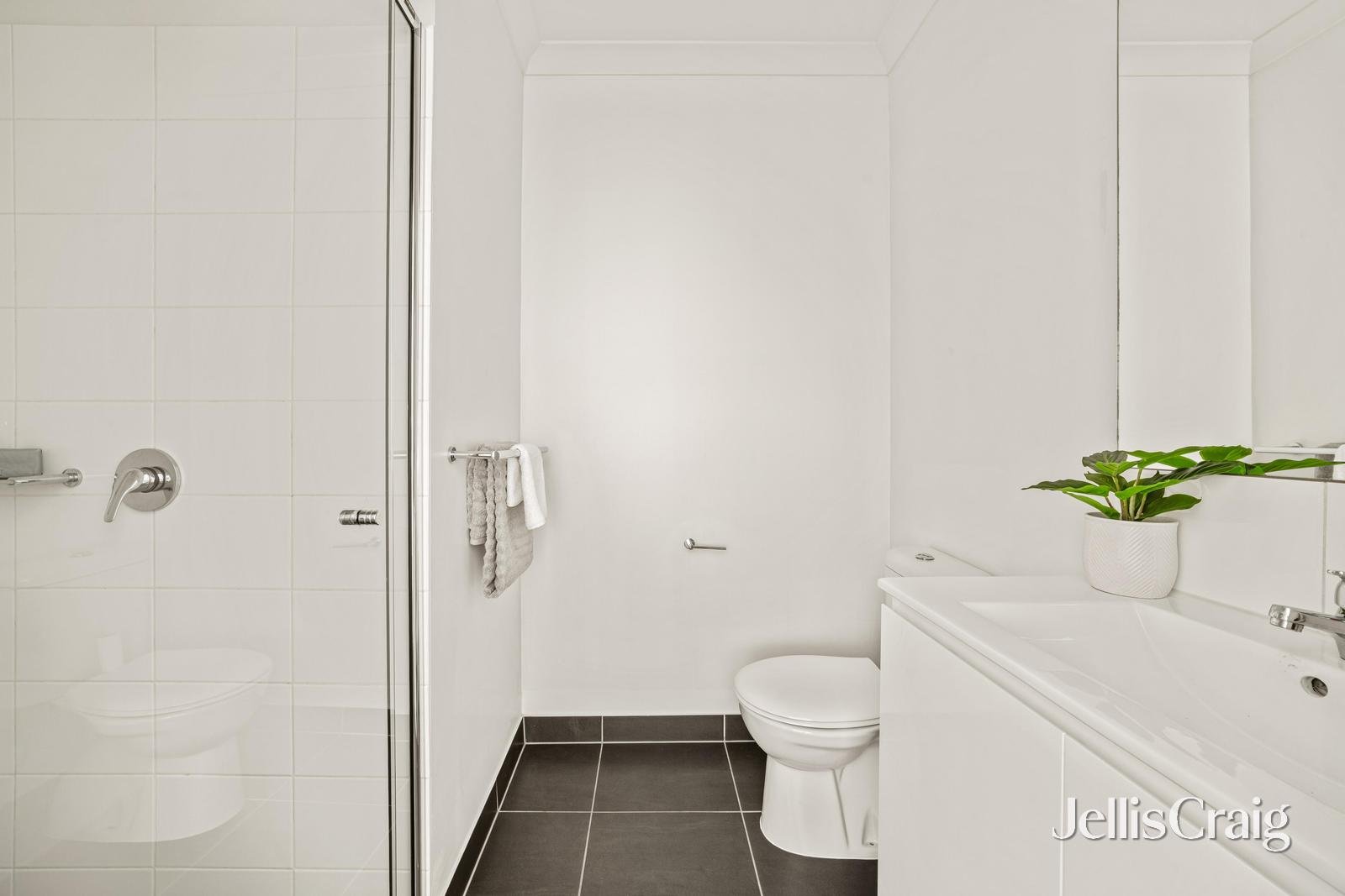 3 Berry Place, Seaford image 9
