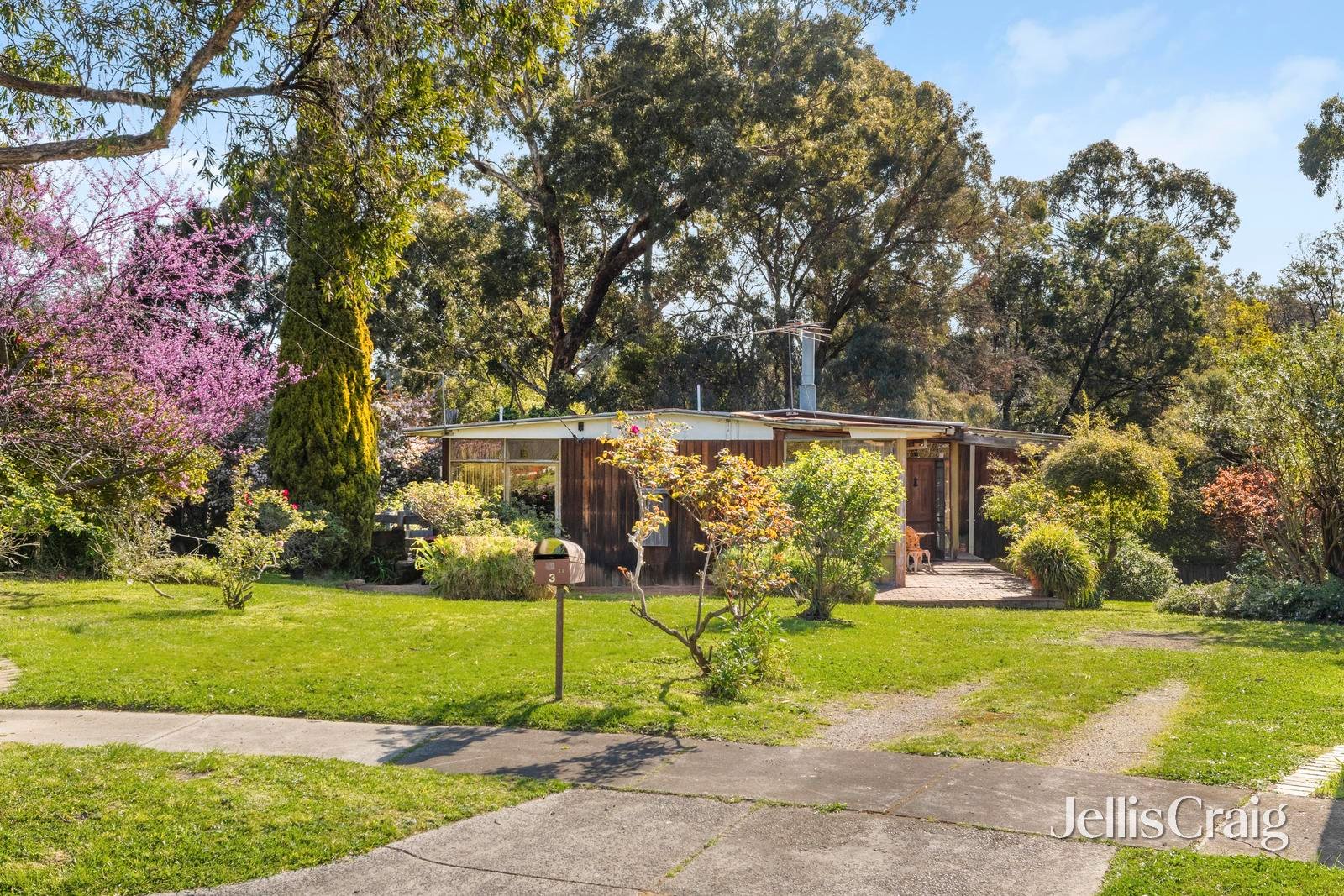 3 Betty Court, Mount&nbsp;Waverley image 2