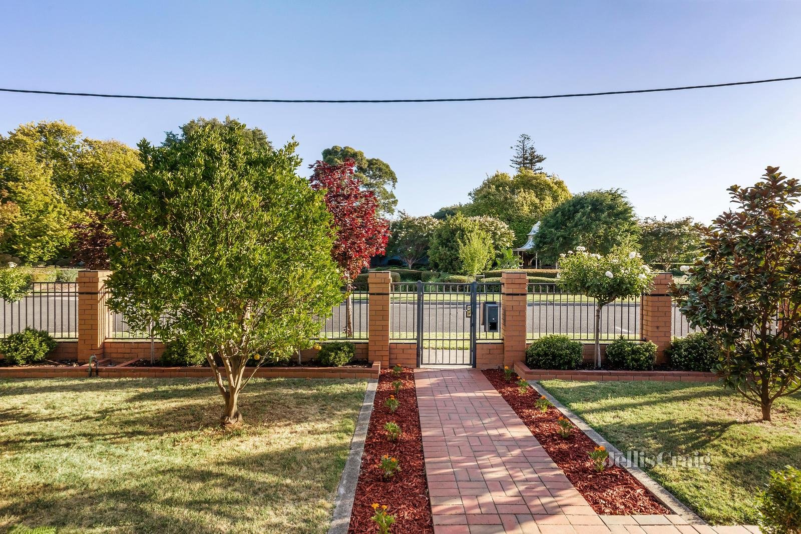 3 Carcoola Court, Ormond image 2