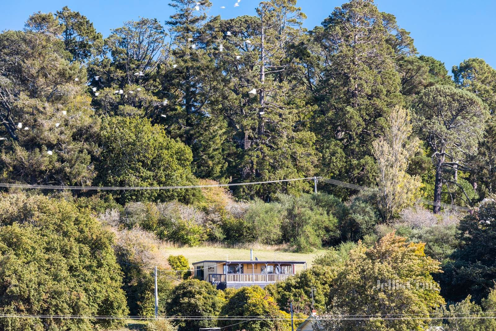 3 Central Springs Road, Daylesford image 8