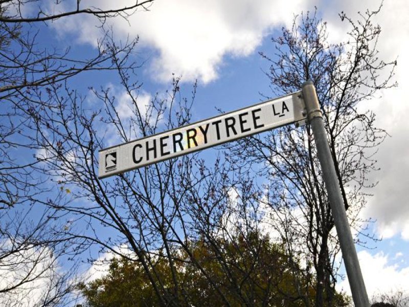 3 Cherrytree Lane, Box Hill South image 8