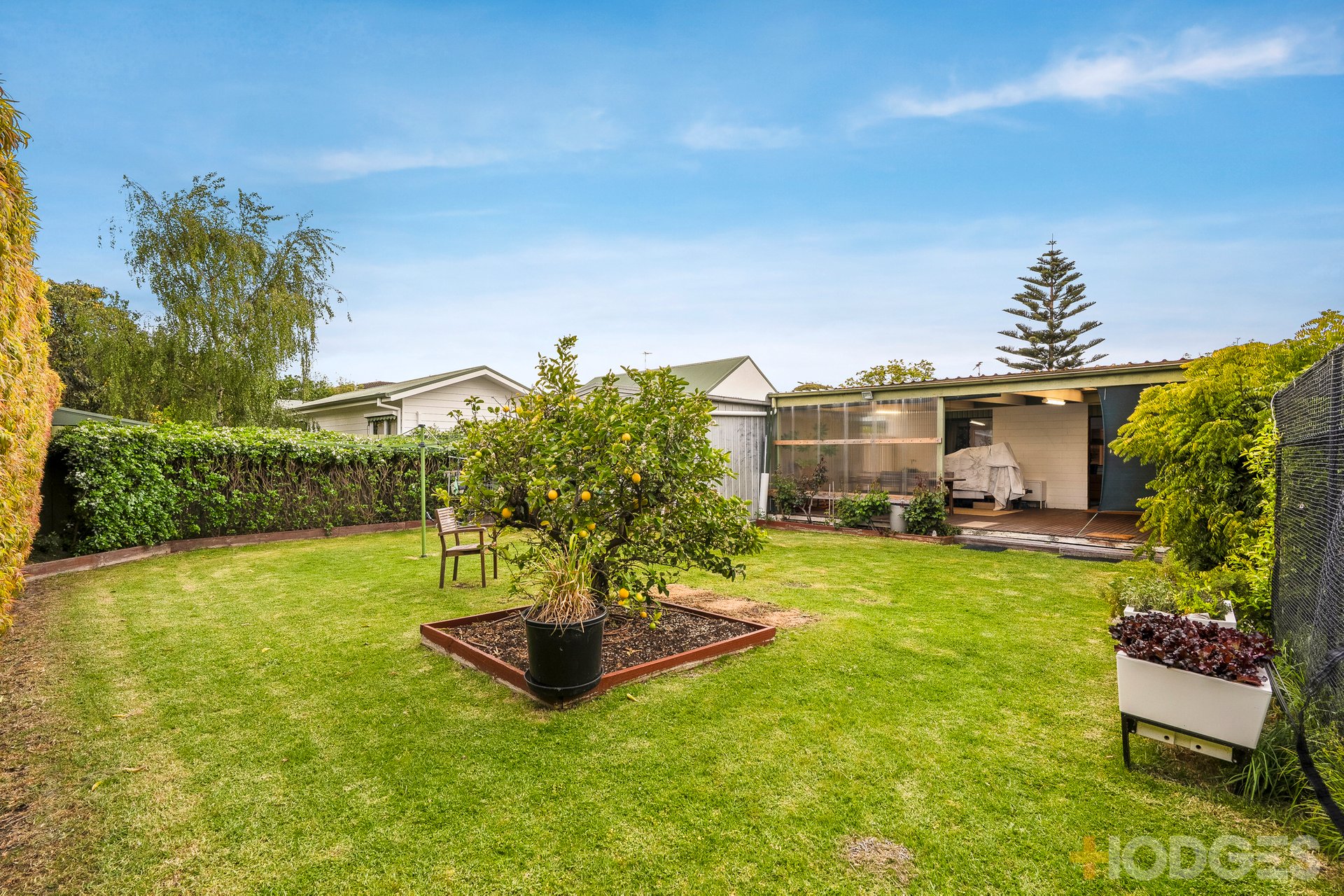 3 Cloyne Street Highett