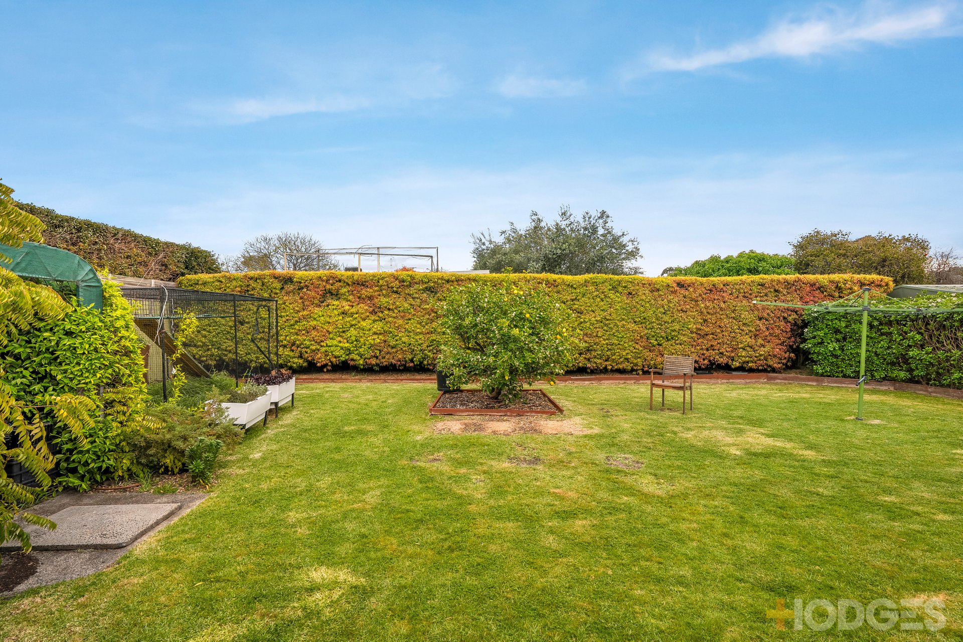 3 Cloyne Street Highett