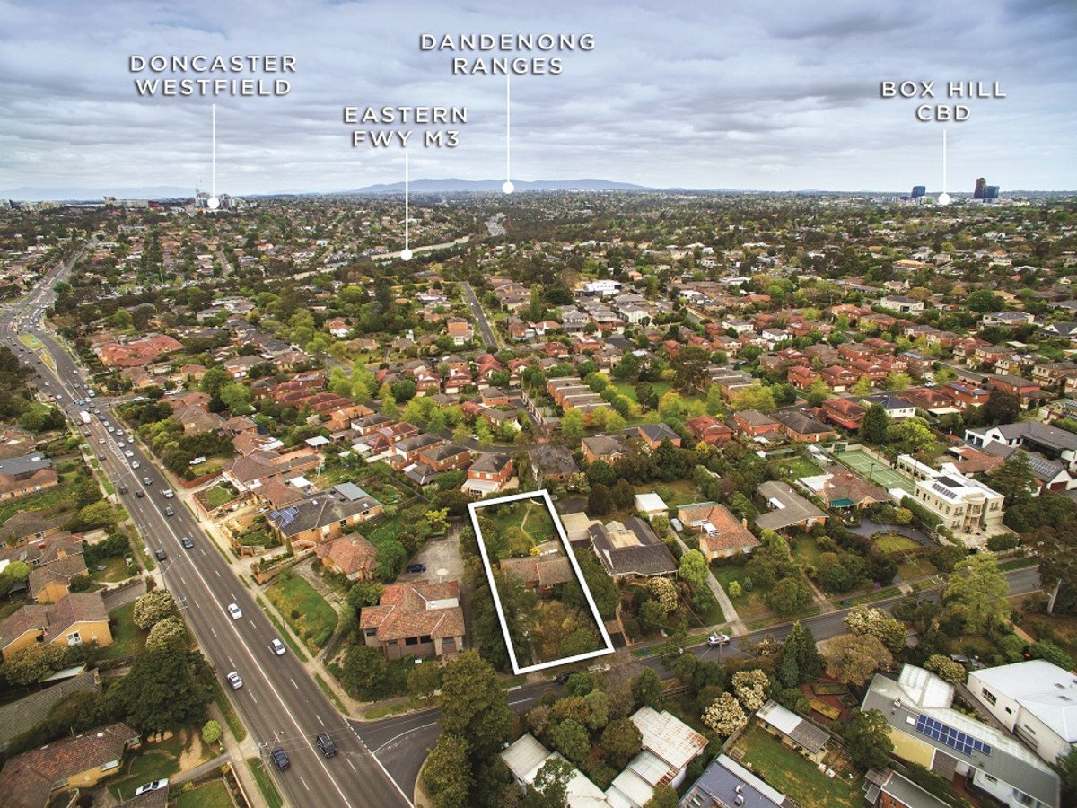 3 Ellsa Street, Balwyn North image 5
