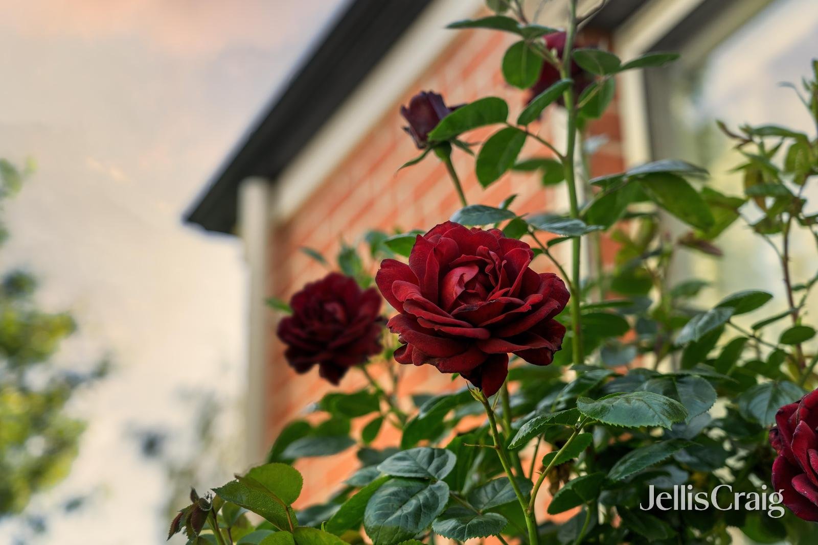 3 Faversham Avenue, Lake Gardens image 25