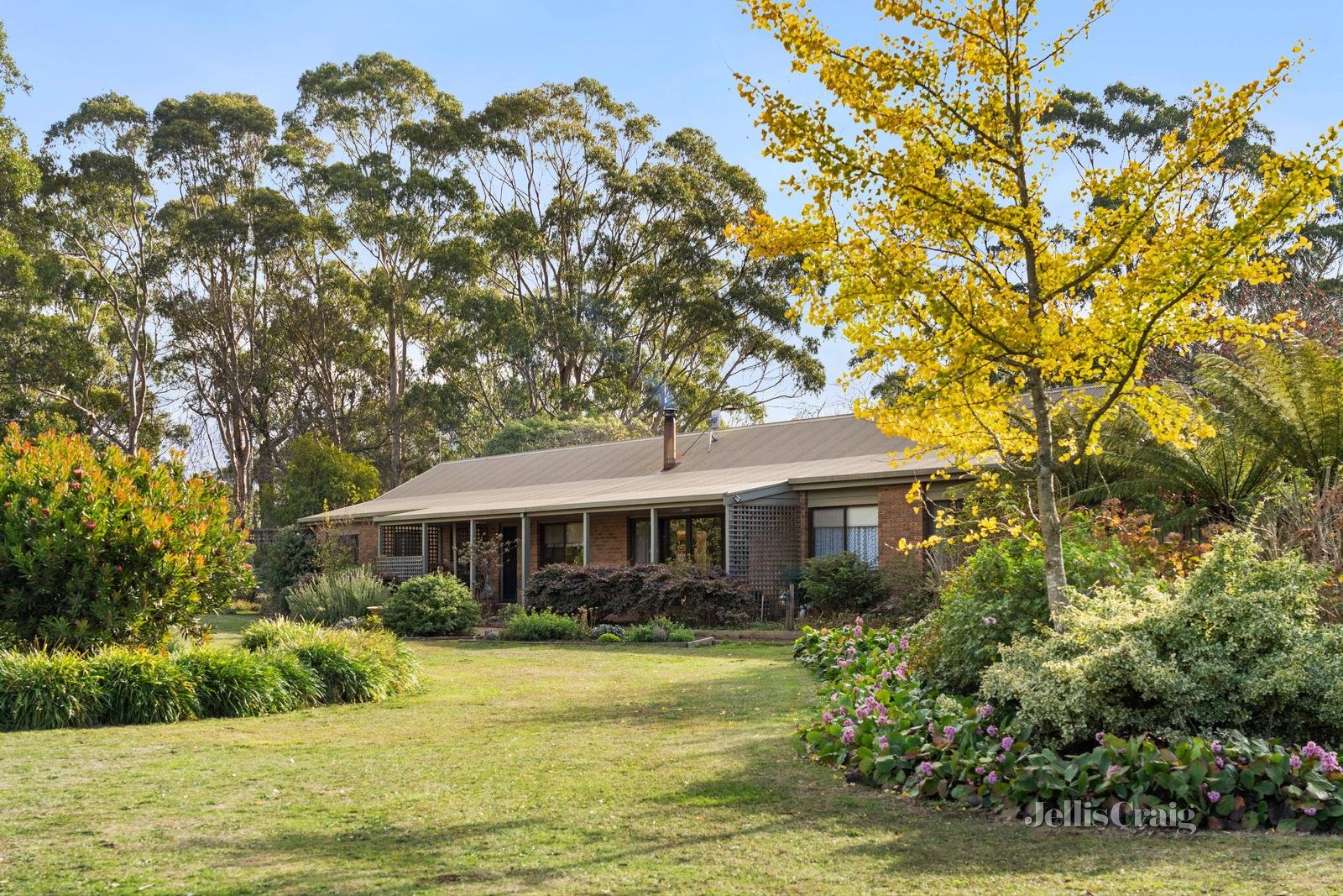 3 Fisken Road, Mount Helen image 10