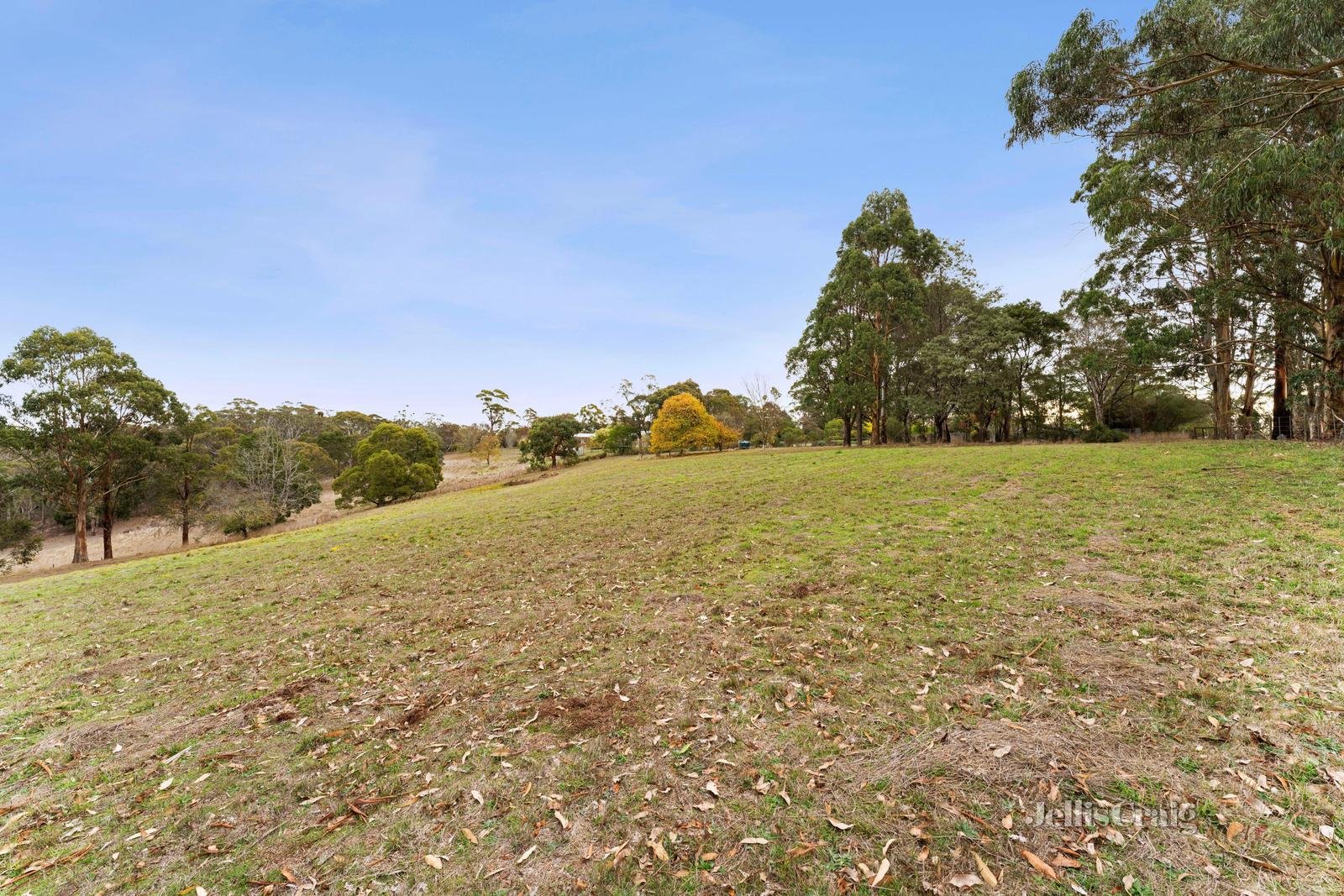 3 Fisken Road, Mount Helen image 23