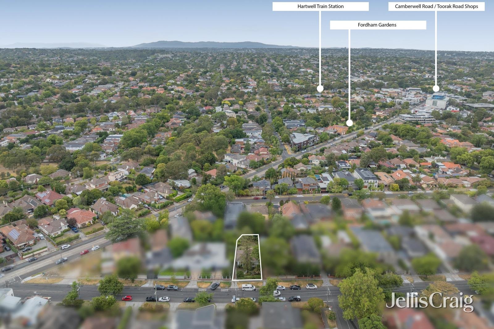 3 Glen Iris Road, Camberwell image 12