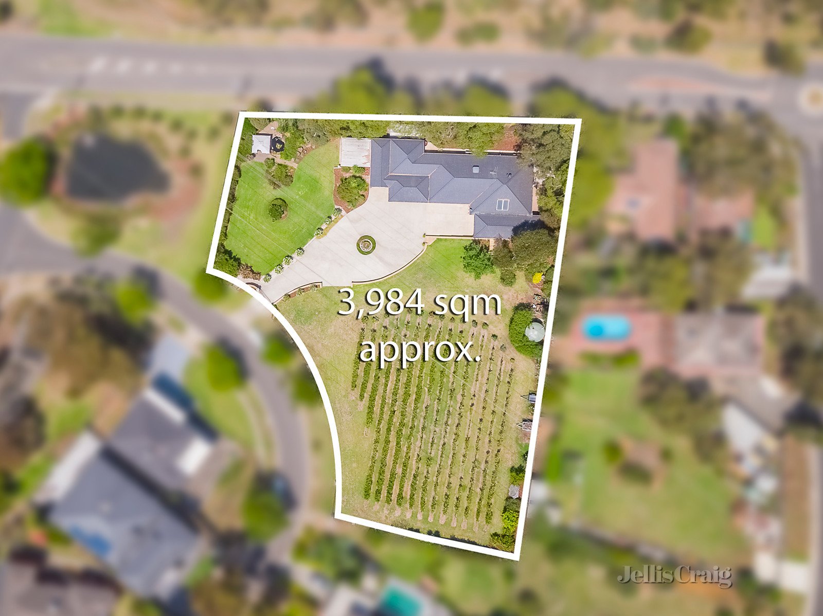 3 Goulburn Grove, Yallambie image 3