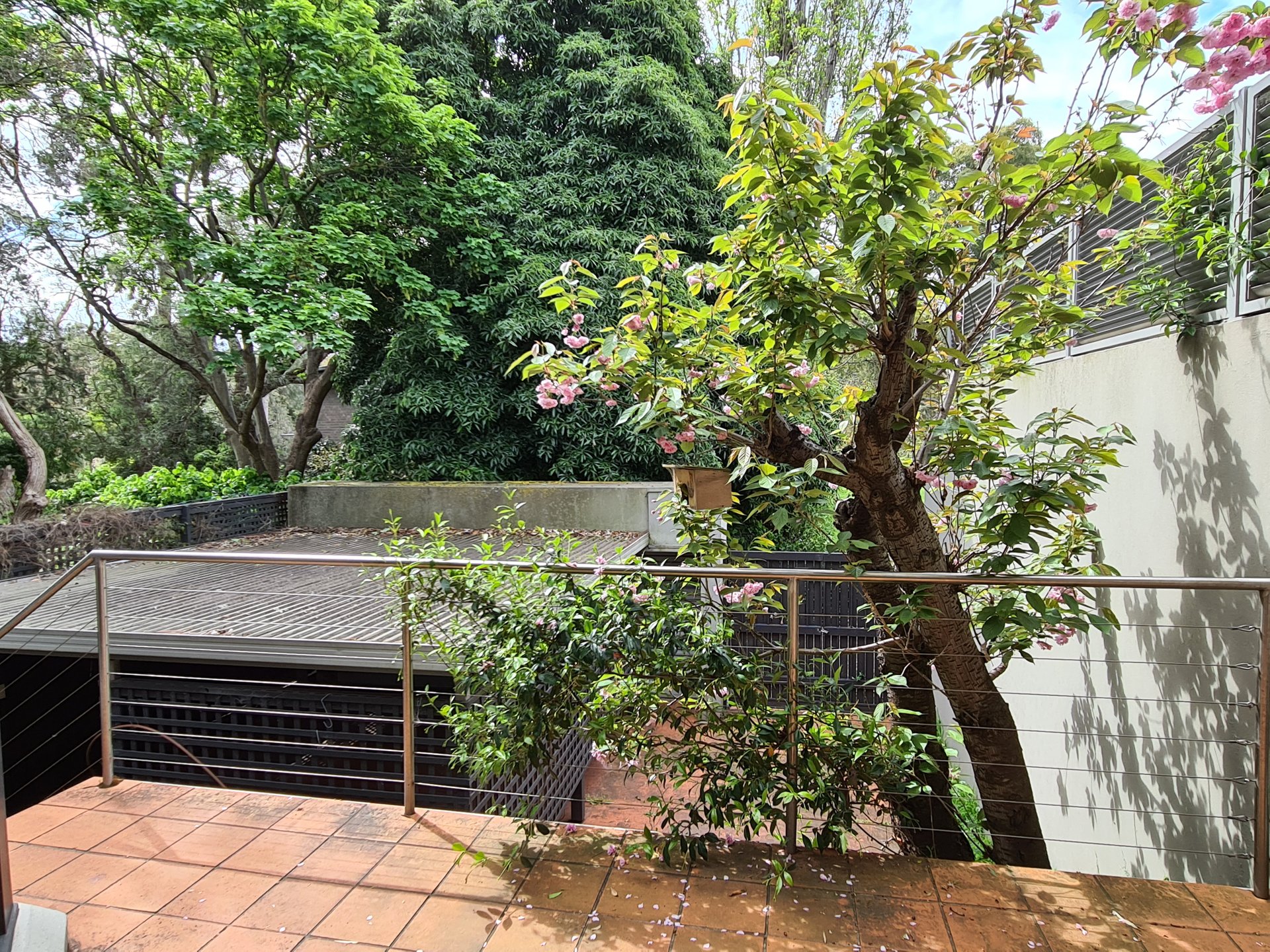 3 Hambledon Road, Hawthorn image 8