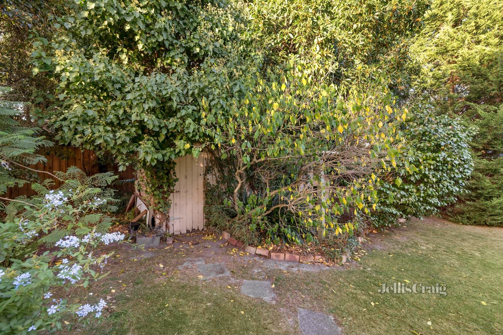3 Hobart Street, Ringwood image 12