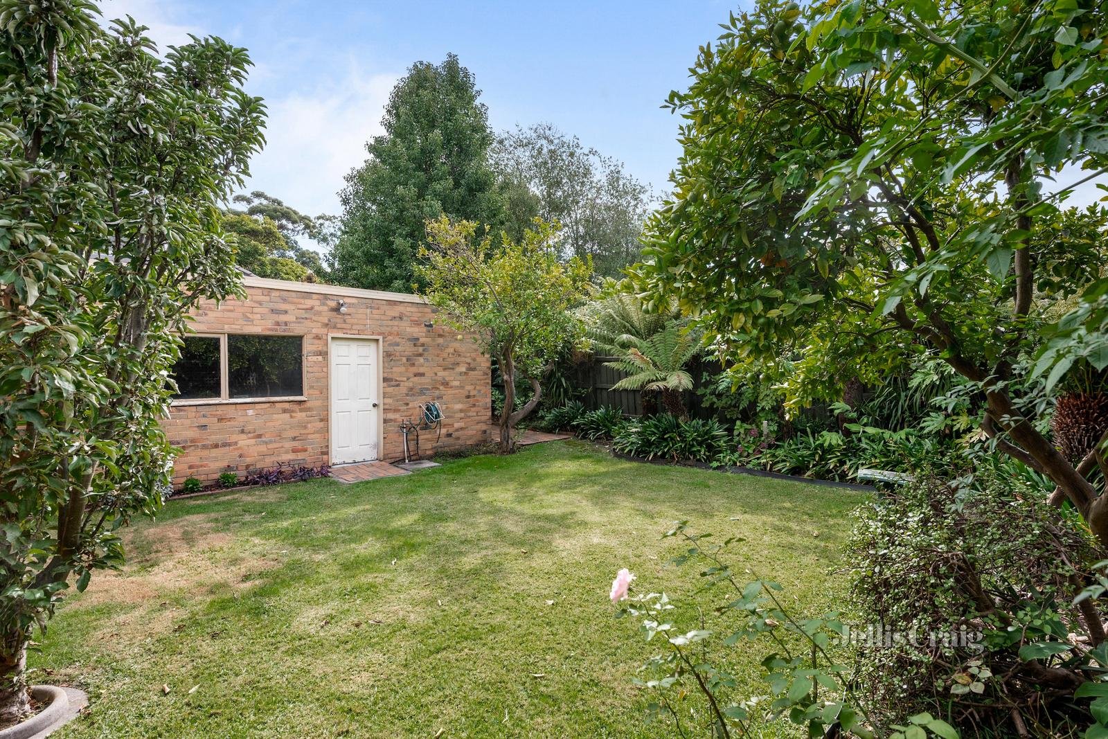 3 Kershaw Street, Bentleigh East image 9