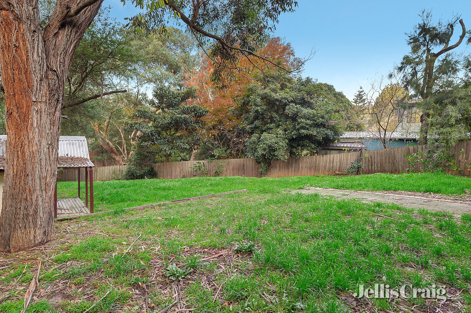 3 Landau Drive, Warranwood image 10