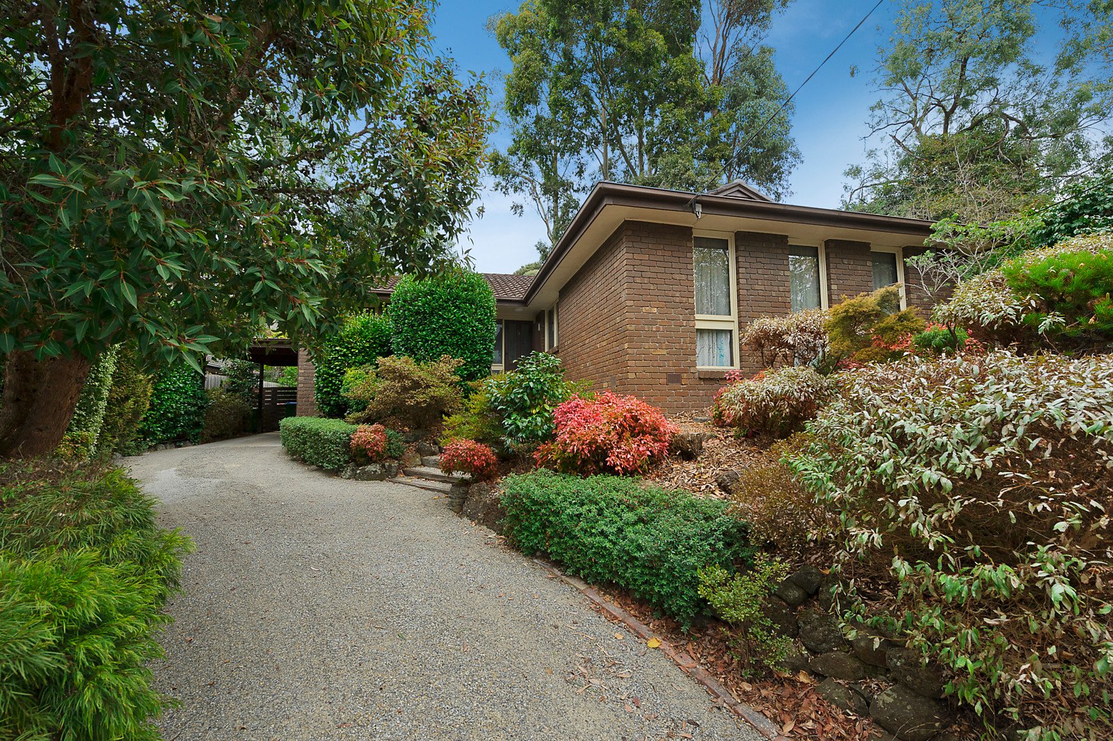 3 Lisa Close, Ringwood North image 1