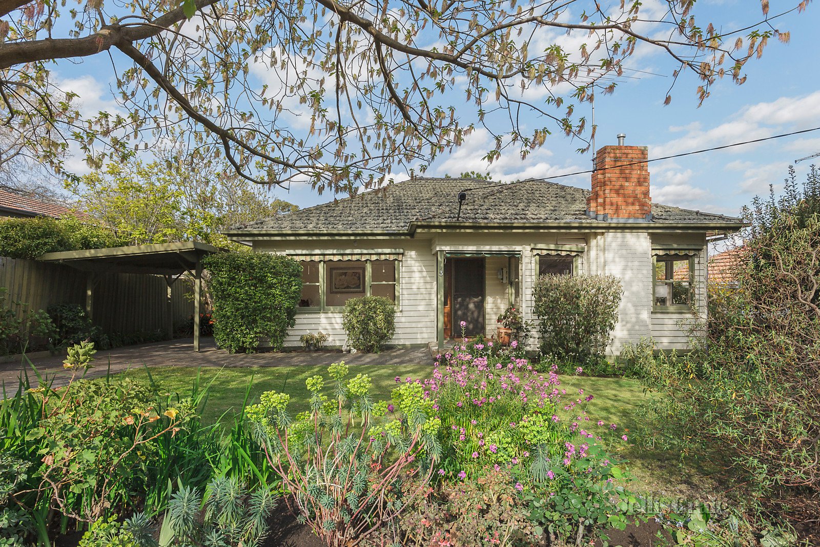 3 Lynden Street, Camberwell image 1