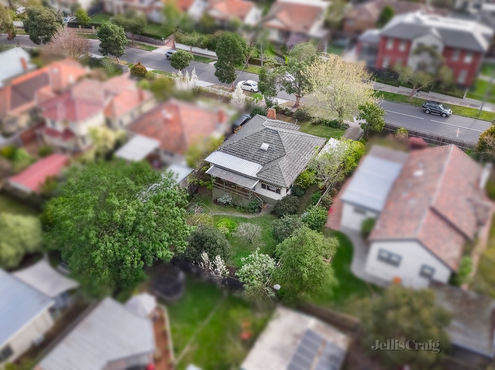 3 Lynden Street, Camberwell image 10
