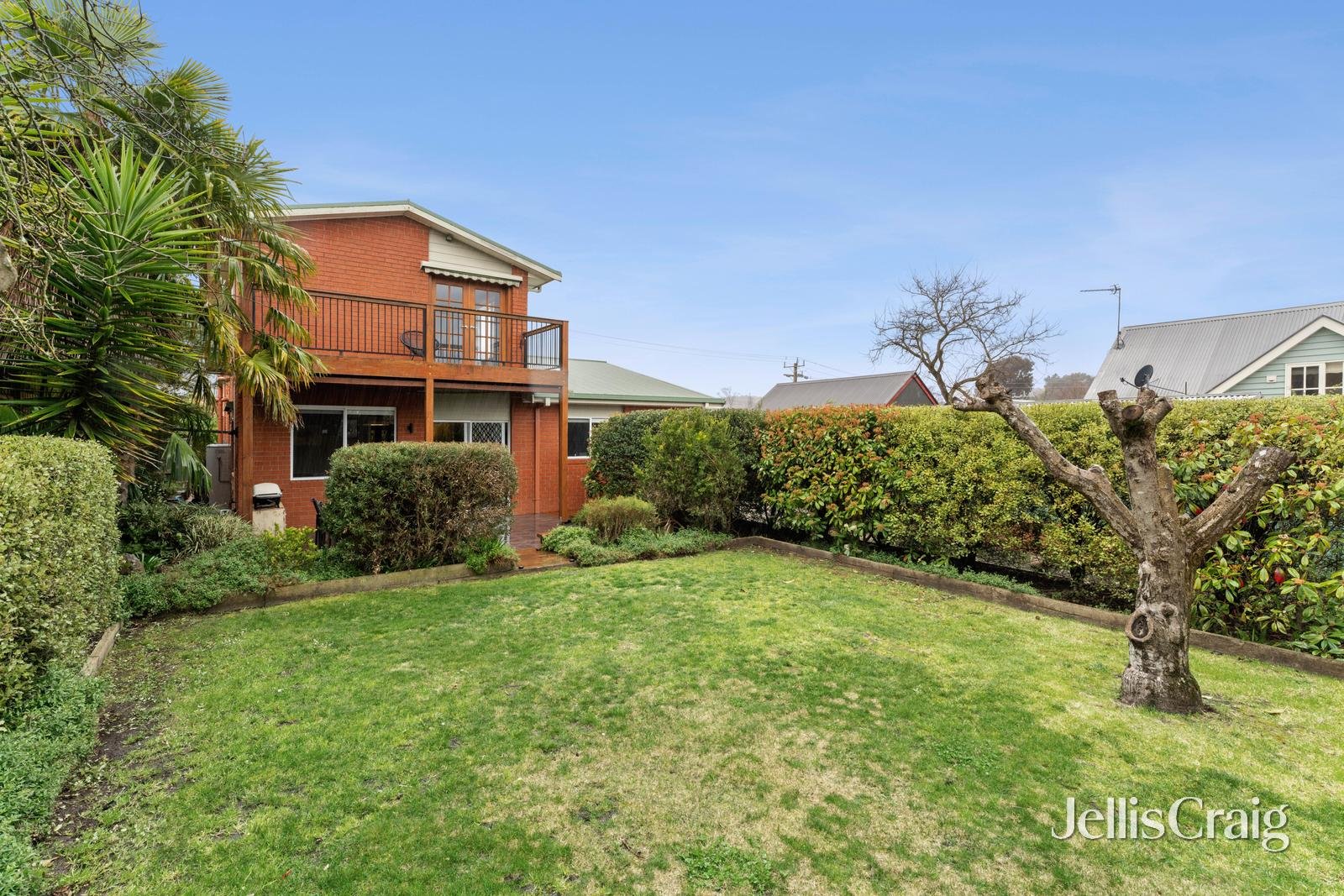 3 Macarthur Street, Soldiers Hill image 18