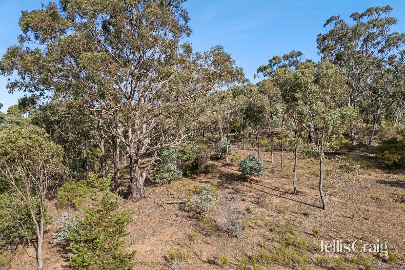 3 Mt Tarrengower Road, Maldon image 9