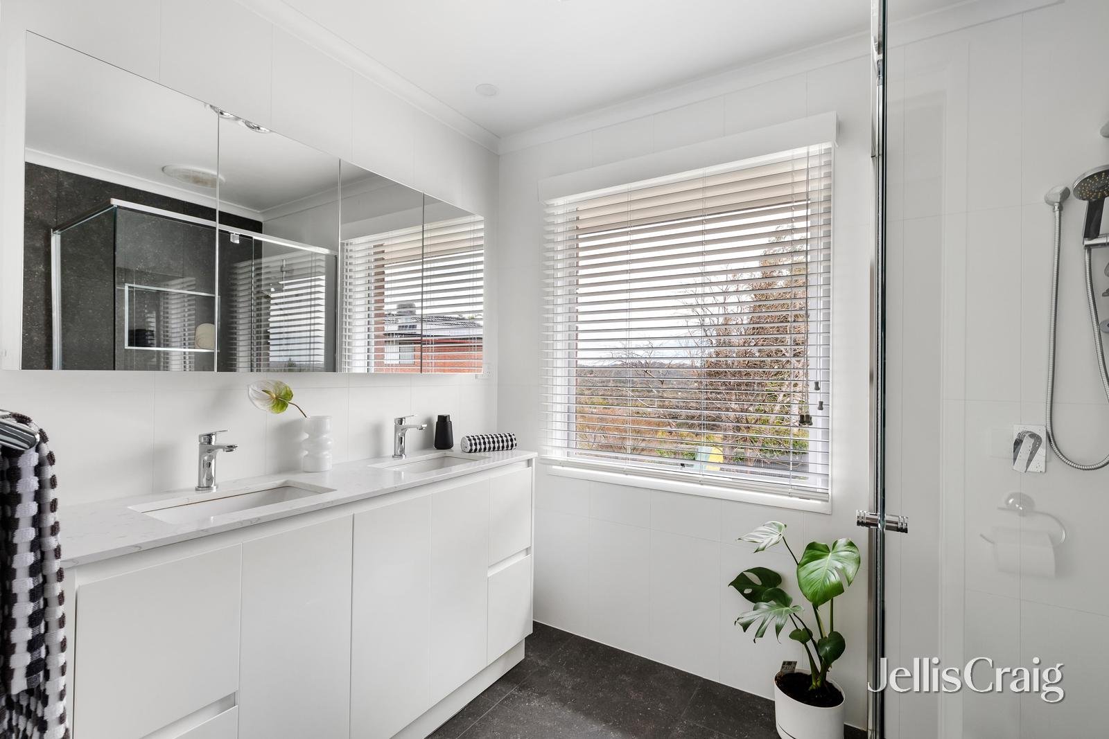 3 Penton Court, Diamond Creek image 6