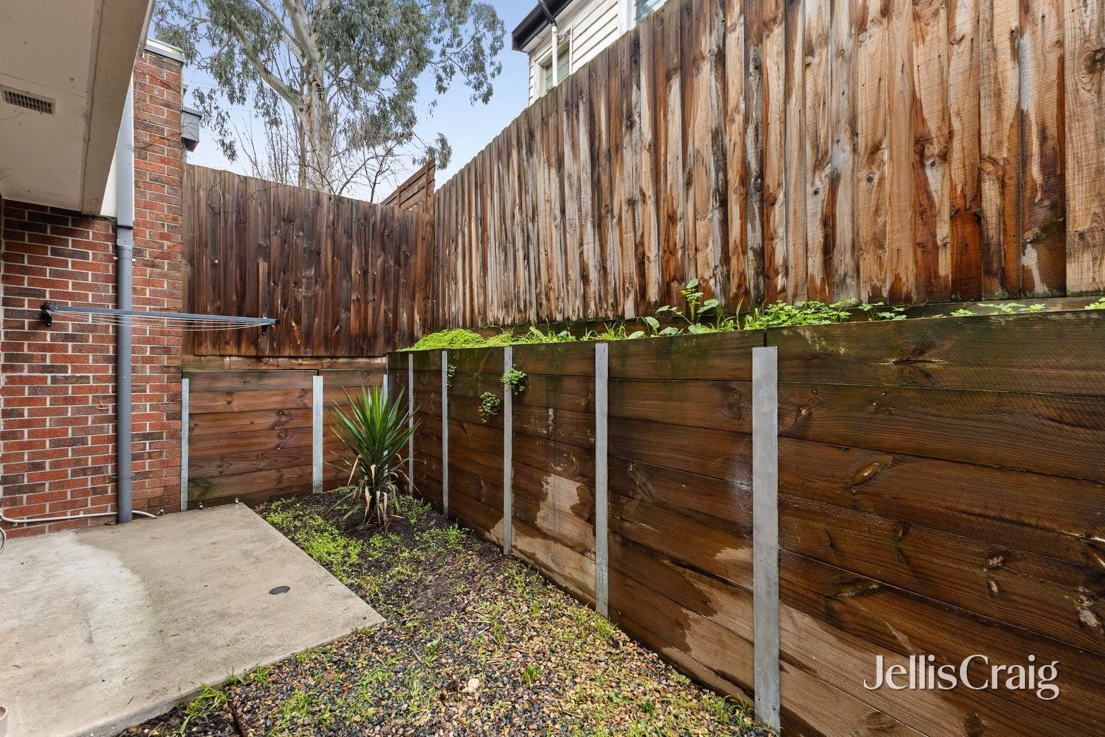 3 Sarges Mews, Lilydale image 8