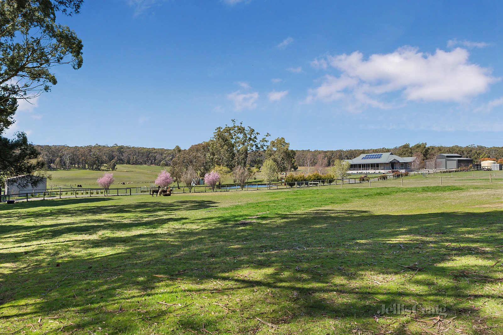 3 Slatey Creek Road, Woodend image 17