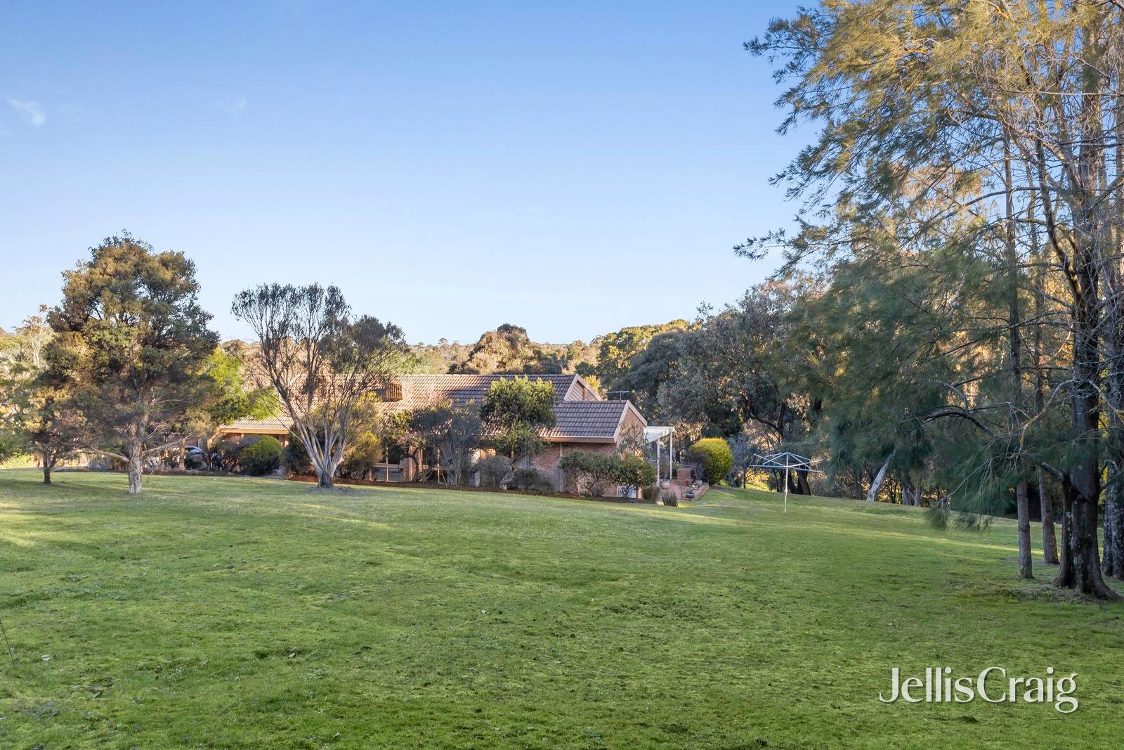 3 Trudi Court, Donvale image 15