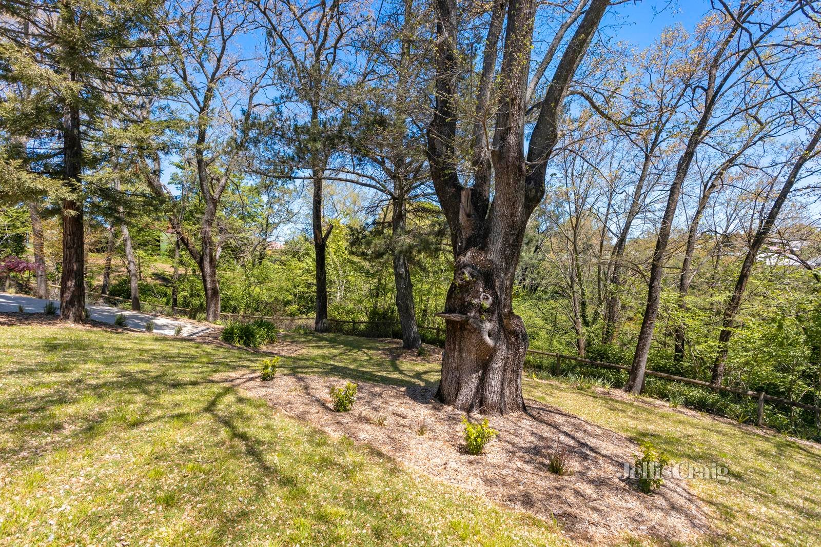 3 Vincent Street North, Daylesford image 15