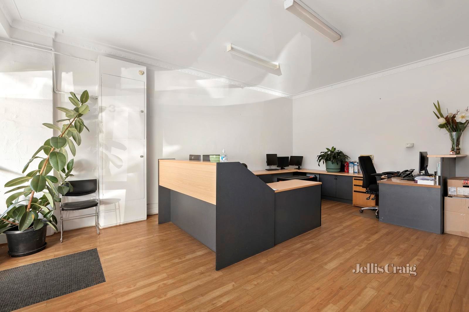 3 Woodland Street, Essendon image 3
