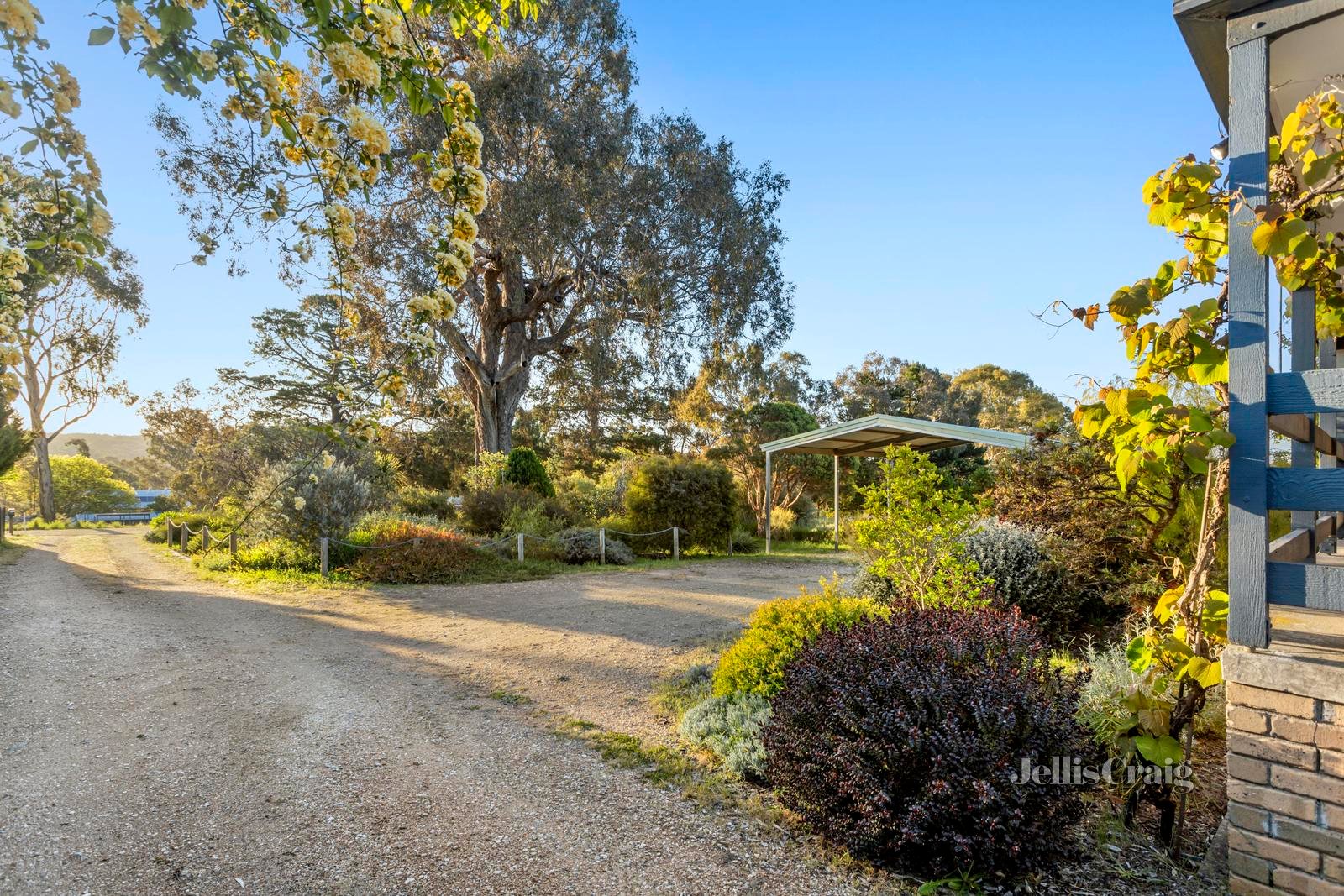 30 Barker Street, Harcourt image 14