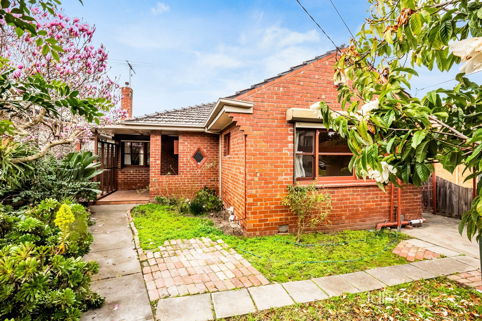 30 Carrington Street, Pascoe Vale South image 1