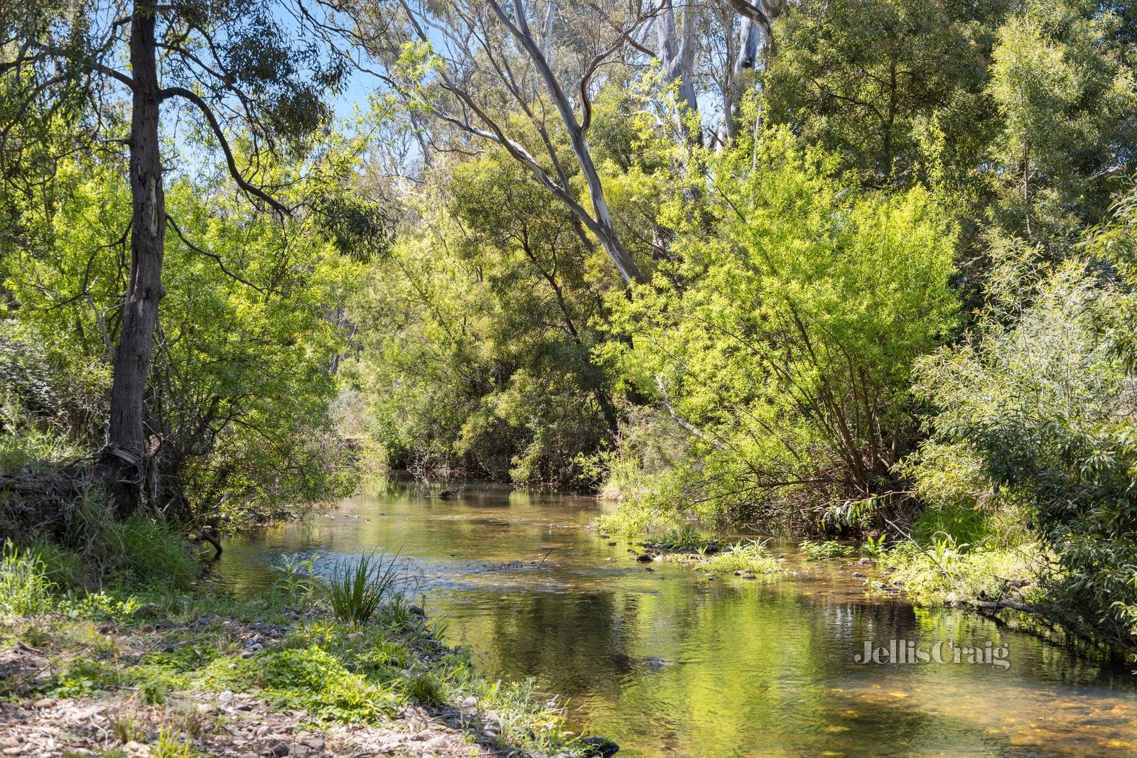 30 Garsed Road, Clydesdale image 4